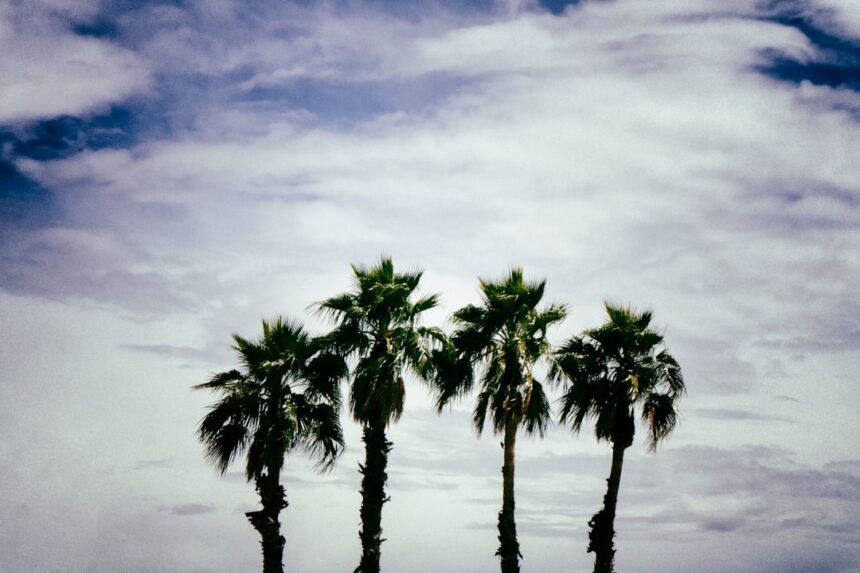 Photo raid