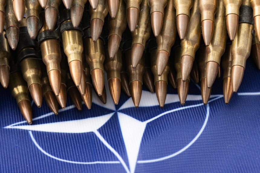 Photo CIA NATO stay behind networks