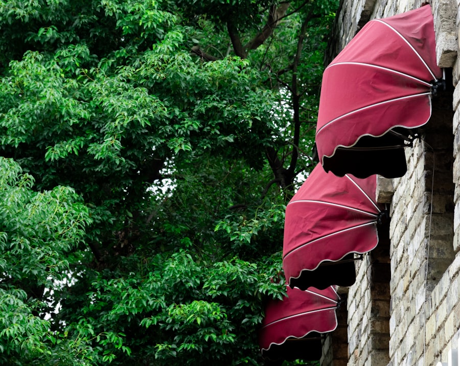 Photo Triple Canopy federal security contracts