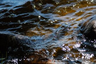 Photo Blackwater
