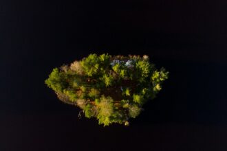 Photo Northwoods