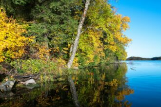 Photo Northwoods