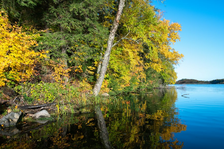 Photo Northwoods
