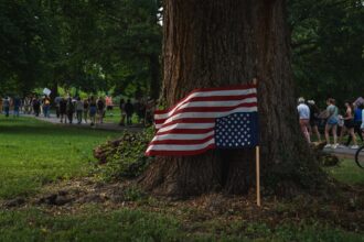 Photo America, bombers, tree