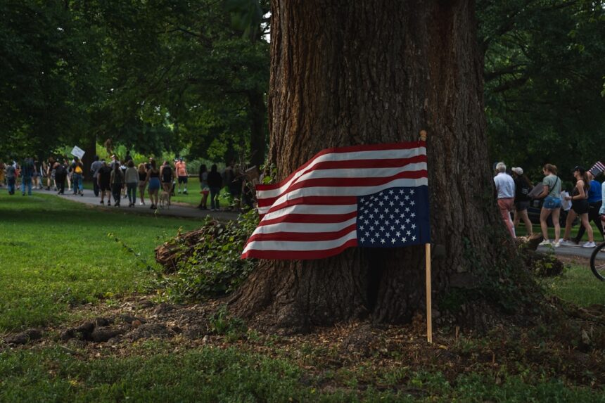 Photo America, bombers, tree
