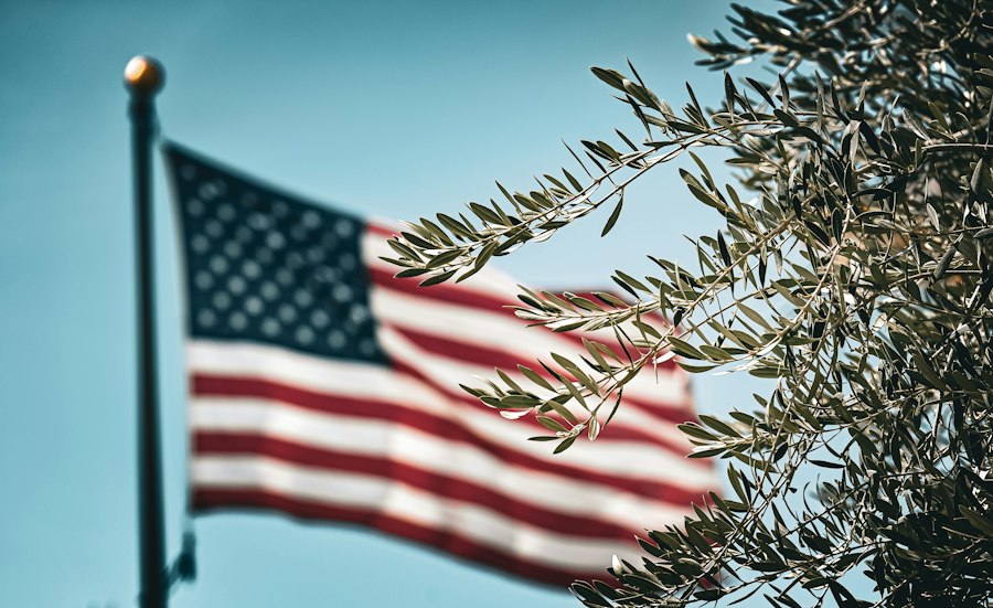 Photo America, bombers, tree