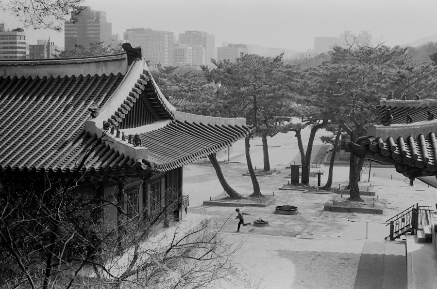Photo Korean DMZ history documentary