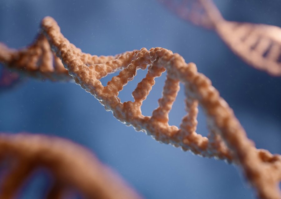 Photo DNA