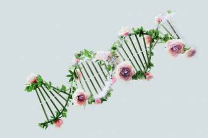 Photo DNA
