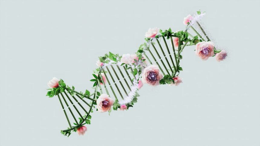 Photo DNA