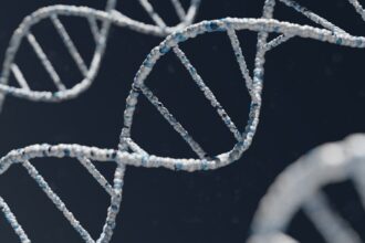 Photo biological relatives DNA