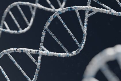 Photo biological relatives DNA