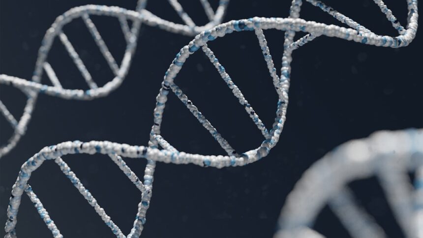 Photo biological relatives DNA