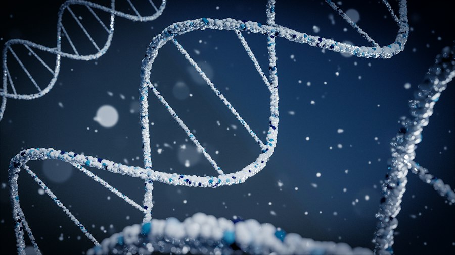 Photo biological relatives DNA