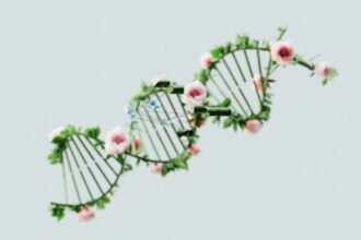 Photo DNA search