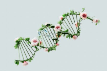 Photo DNA search