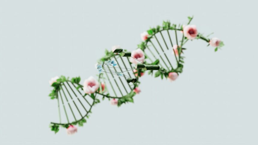 Photo DNA search