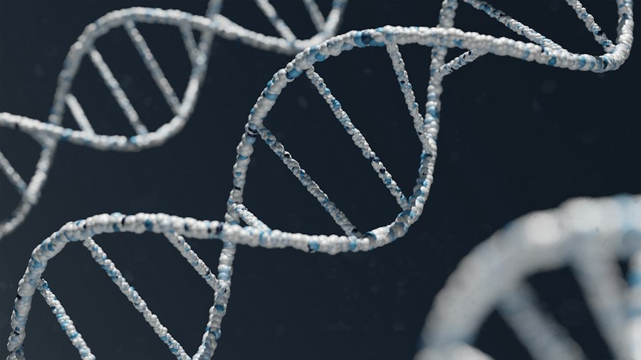 Photo DNA search