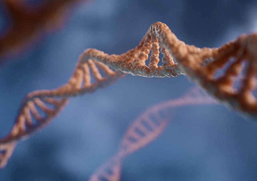 DNA search