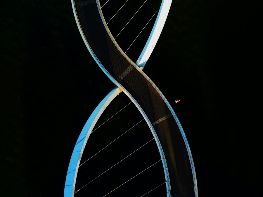 DNA match family tree research