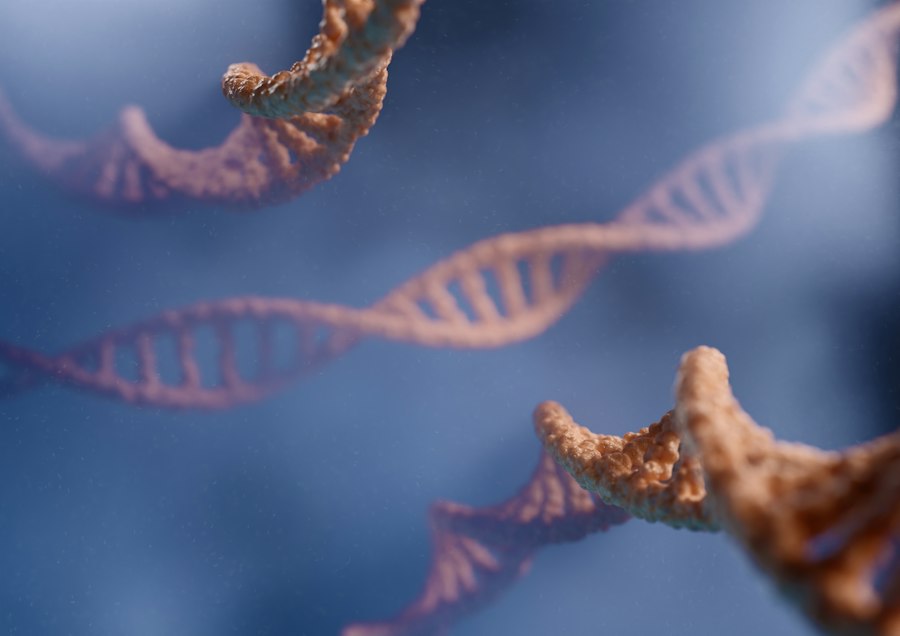 Photo DNA