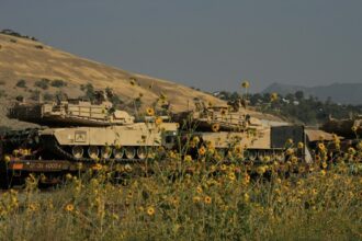 Photo fake tanks