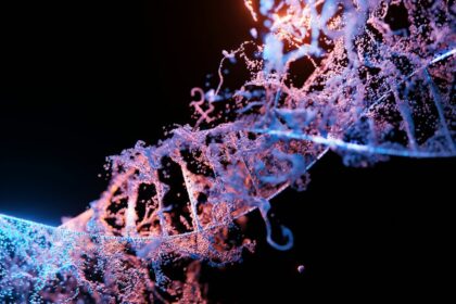 Photo DNA