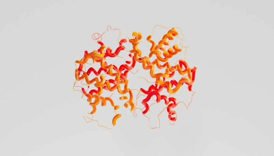 Photo DNA