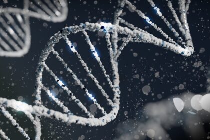 Photo DNA testing