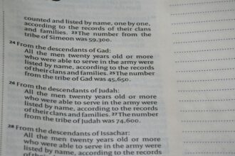 Photo genealogy