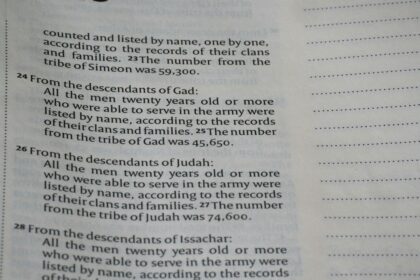 Photo genealogy