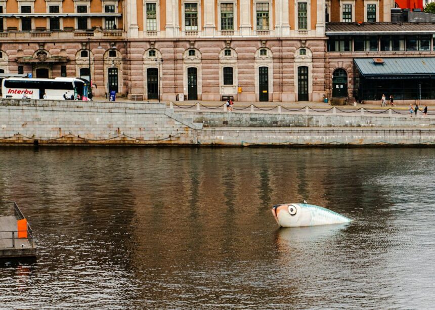Photo trumpeterfish torpedo test