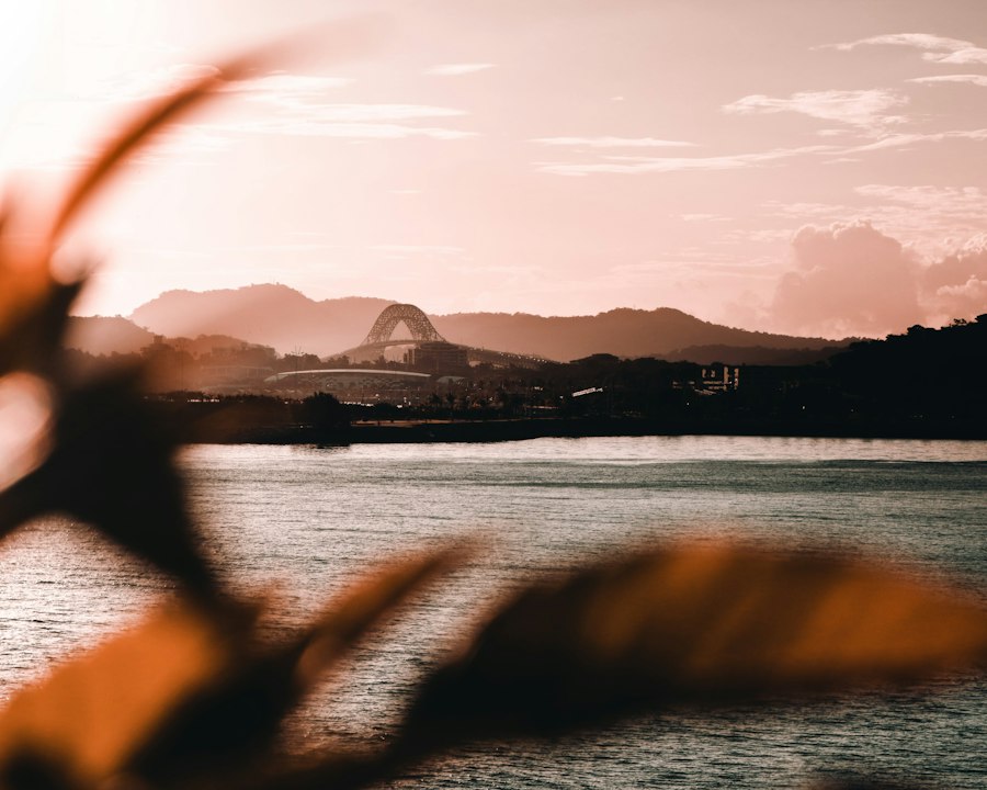 Photo bomb Panama Canal