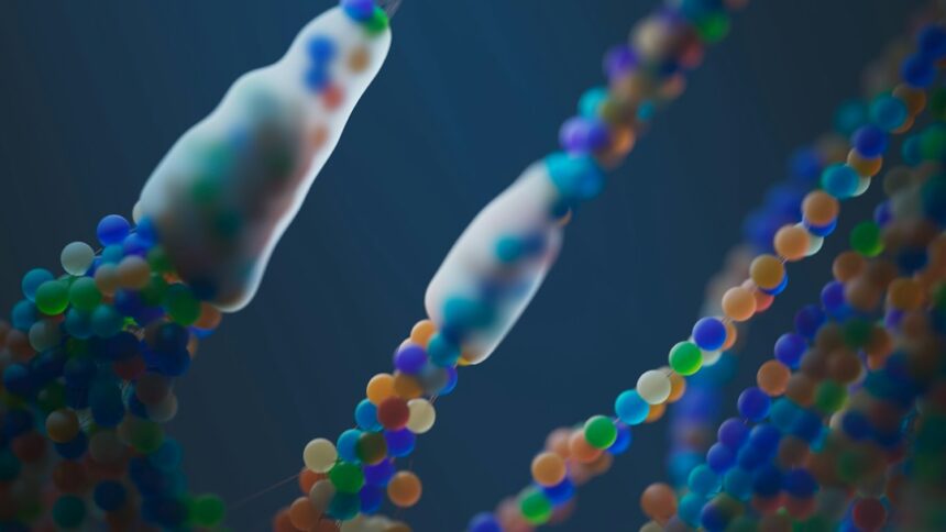 Photo autosomal DNA family history research
