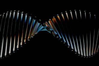 Photo DNA matches