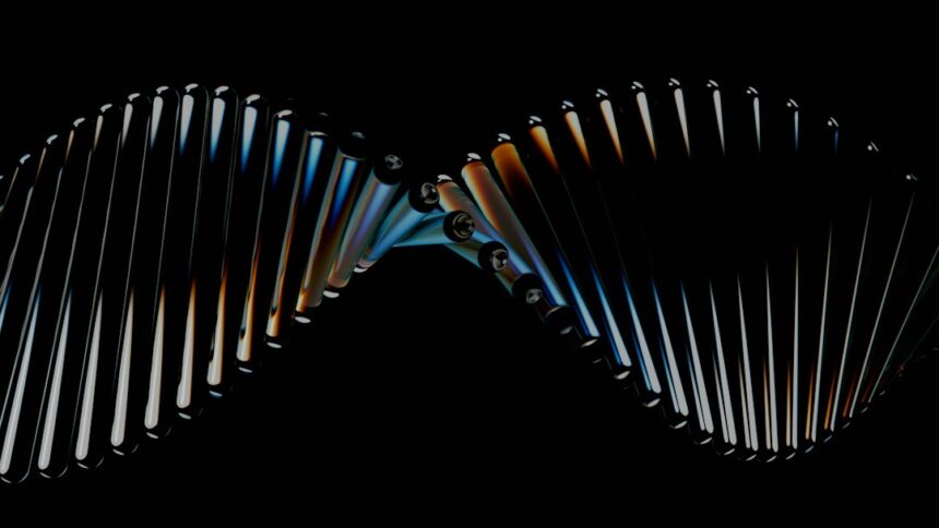 Photo DNA matches