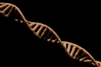 Photo DNA connects families