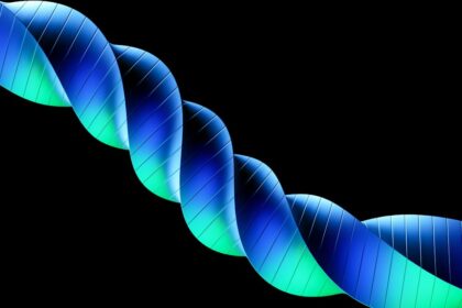 Photo genetic genealogy