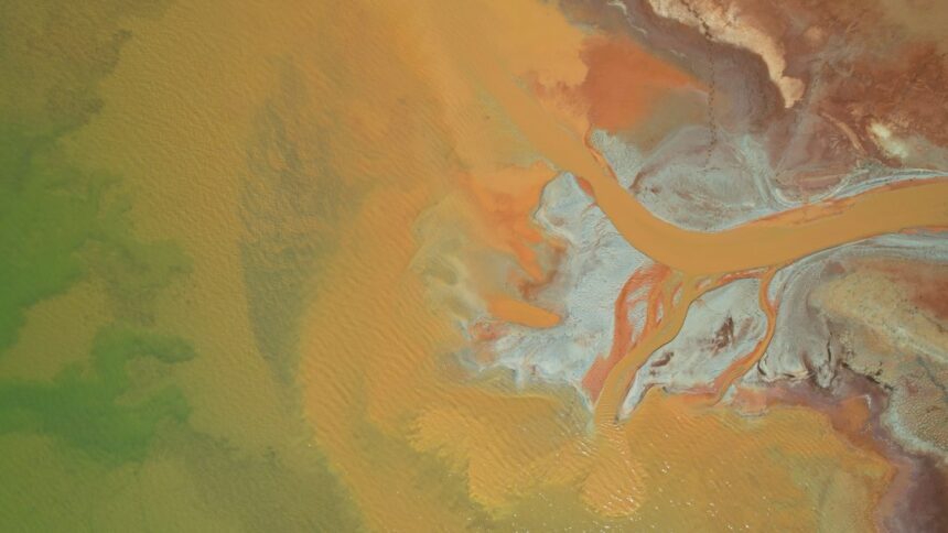 Photo International Geophysical Year project cover