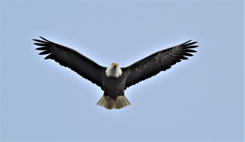 Photo Operation Eagle Claw Credible Sport