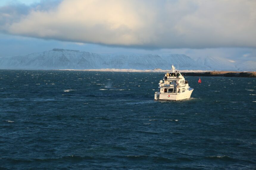 Photo submarine contact Iceland sonar