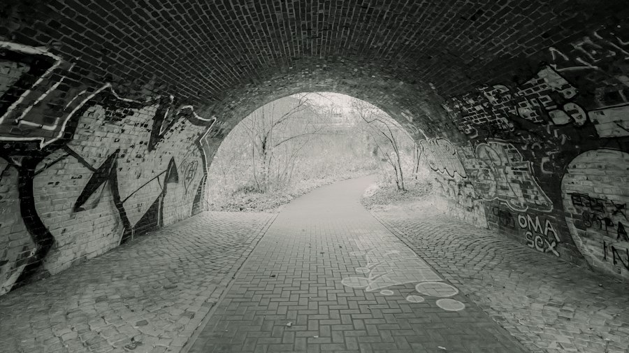 spy tunnel documentary film